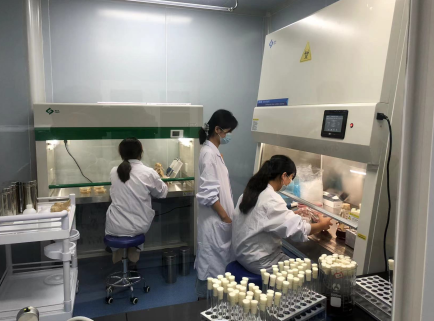 公共衛(wèi)生檢測的重要性，你了解嗎？