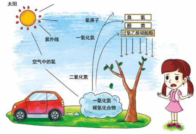 臭氧知識科普（2） | 臭氧跟光化學煙霧、PM2.5有什么關系？